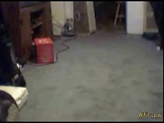 Amateur Webcam Dog Girl Test Bluedog (part 7)