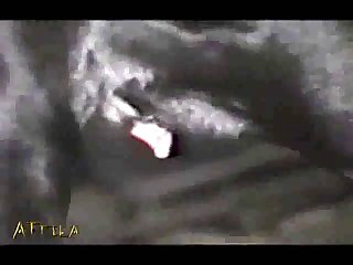 Animal Sex Have To Fuck With Dogs And Blow Horse Cocks 59 Min Animalsex (part 3)