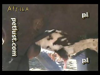 Petlust M11 2 Zoo Bull Sex Farm Boys (part 11)