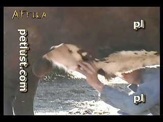 Petlust M11 2 Zoo Bull Sex Farm Boys (part 11)