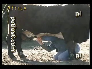 Petlust M11 2 Zoo Bull Sex Farm Boys (part 11)