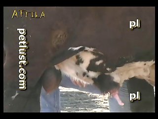 Petlust M11 2 Zoo Bull Sex Farm Boys (part 11)