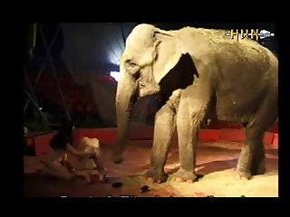 Elephants porn (part 6)