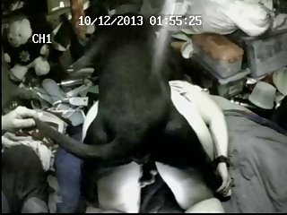 The Animal Took Over From There