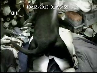 The Animal Took Over From There