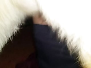 Dogs Fur Was Wet