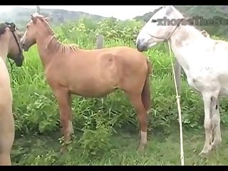 Madonna Mare Vs Jack Scene 03