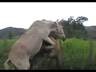 Madonna Mare Vs Jack Scene 03