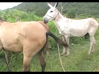 Madonna Mare Vs Jack Scene 03