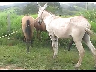 Madonna Mare Vs Jack Scene 03