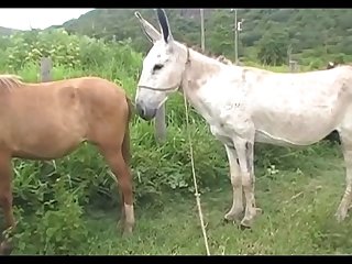 Madonna Mare Vs Jack Scene 03