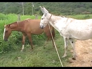 Madonna Mare Vs Jack Scene 03