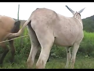 Madonna Mare Vs Jack Scene 03