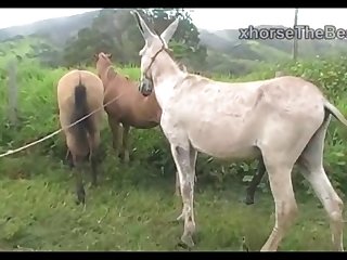 Madonna Mare Vs Jack Scene 03