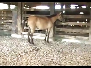 Light Madonna Ass And Stud 4