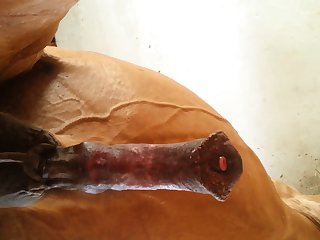 Under Horse Beastforum Geles Masturbation