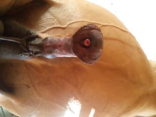 Under Horse Beastforum Geles Masturbation