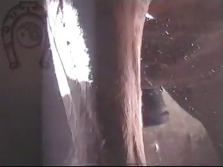 Horse Errect5