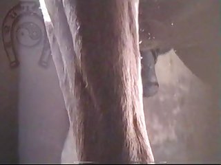 Horse Errect5