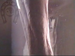 Horse Errect5