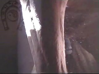 Horse Errect5