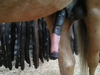 Side View Beastforum Geles Masturbation