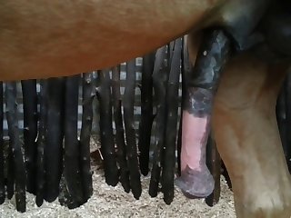 Side View Beastforum Geles Masturbation