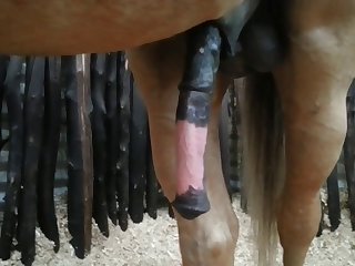 Side View Beastforum Geles Masturbation