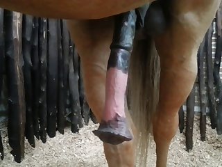 Side View Beastforum Geles Masturbation