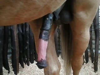 Side View Beastforum Geles Masturbation