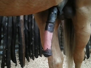 Side View Beastforum Geles Masturbation