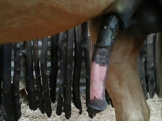 Side View Beastforum Geles Masturbation