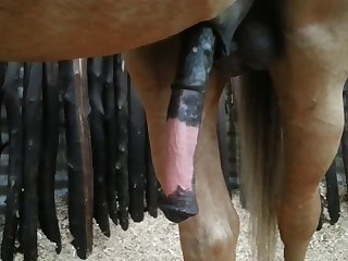 Side View Beastforum Geles Masturbation