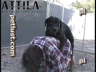 Pb104 Dog Kennel