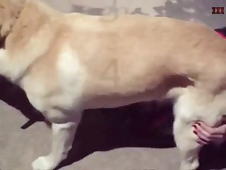 Dexterity Of Fingers Were Frigging Her While Rubbing