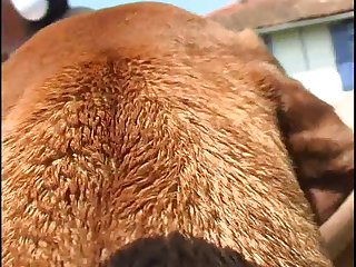 It Was In The Fall And Deer Hunting Season Was Just