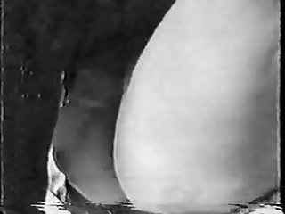 Amateur Home Black White 004