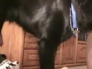 Amateur Ann Buddy Knotted