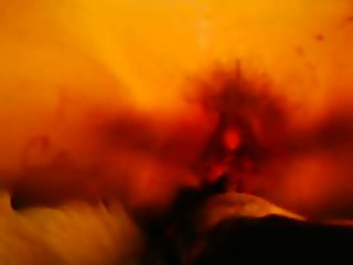 63275 Anal Doggy Dildoing
