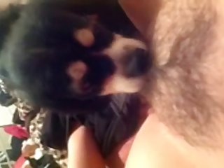 64804 Hairy Girl Teaching Puppy To Lick