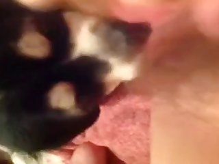 64804 Hairy Girl Teaching Puppy To Lick