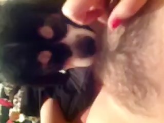 64804 Hairy Girl Teaching Puppy To Lick