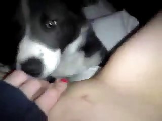97612 Licking Pussy