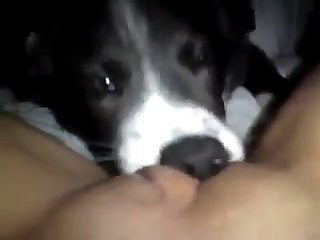 97612 Licking Pussy