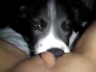 97612 Licking Pussy