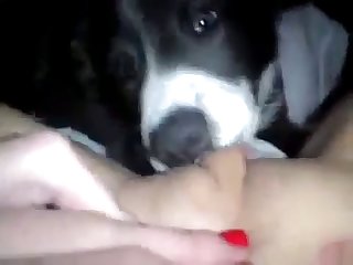 97612 Licking Pussy