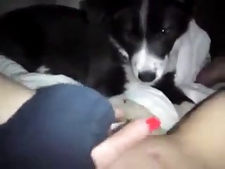 97612 Licking Pussy