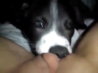 97612 Licking Pussy