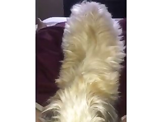 99482 Licking Mommy