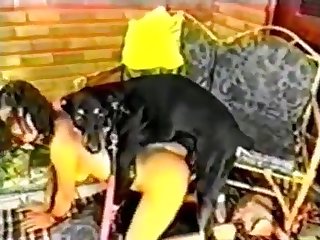 85422 Doggie Daddy 5 Part 1